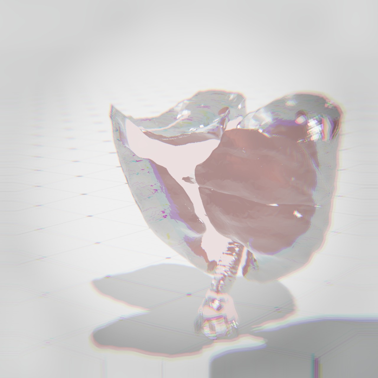 lungs