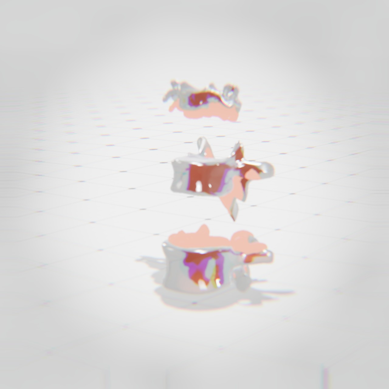 vertebrae