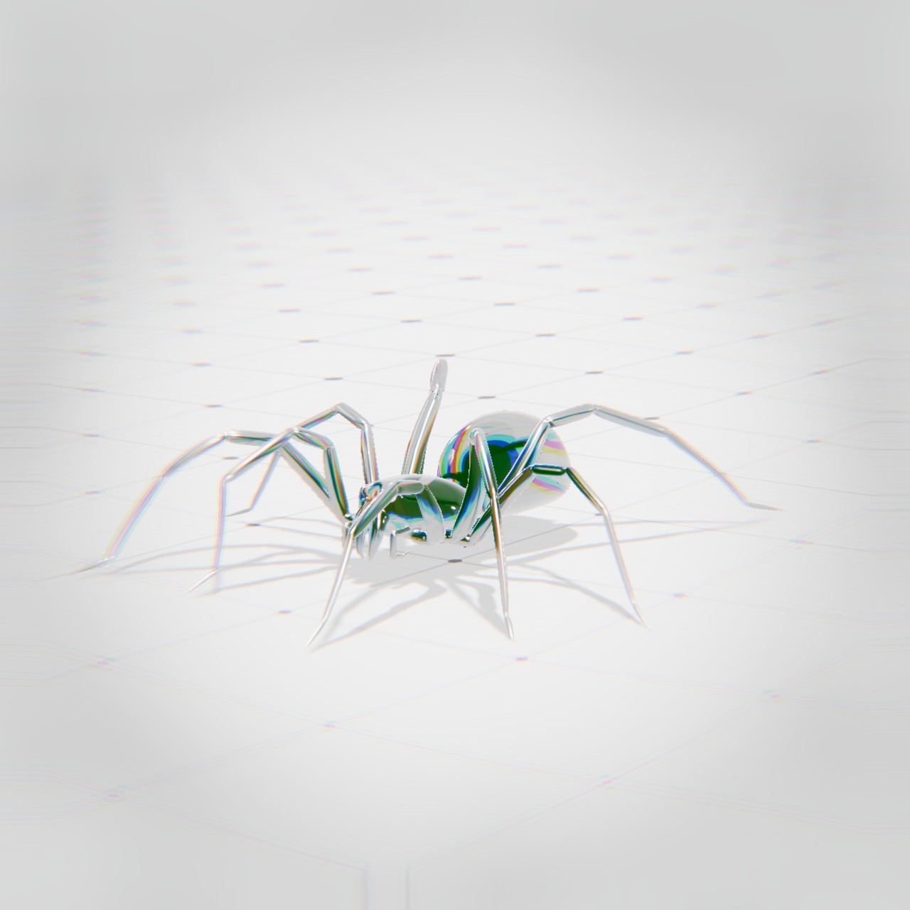 spider