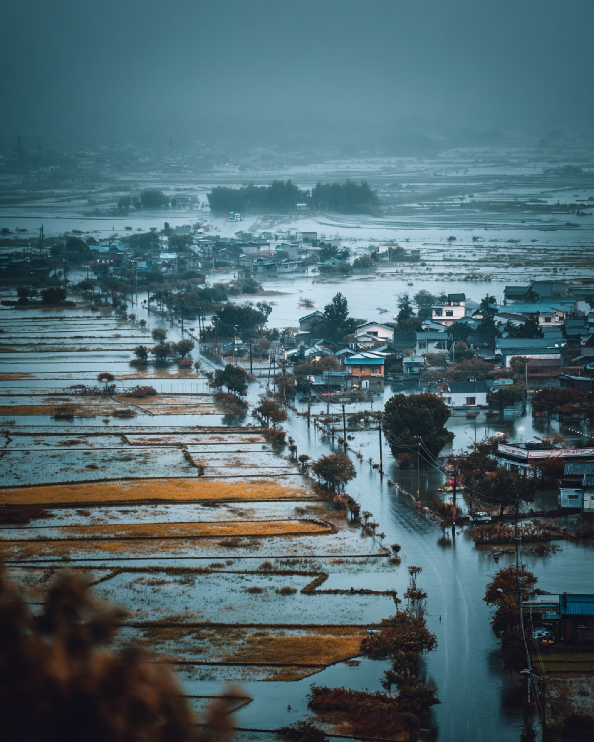 Flood
