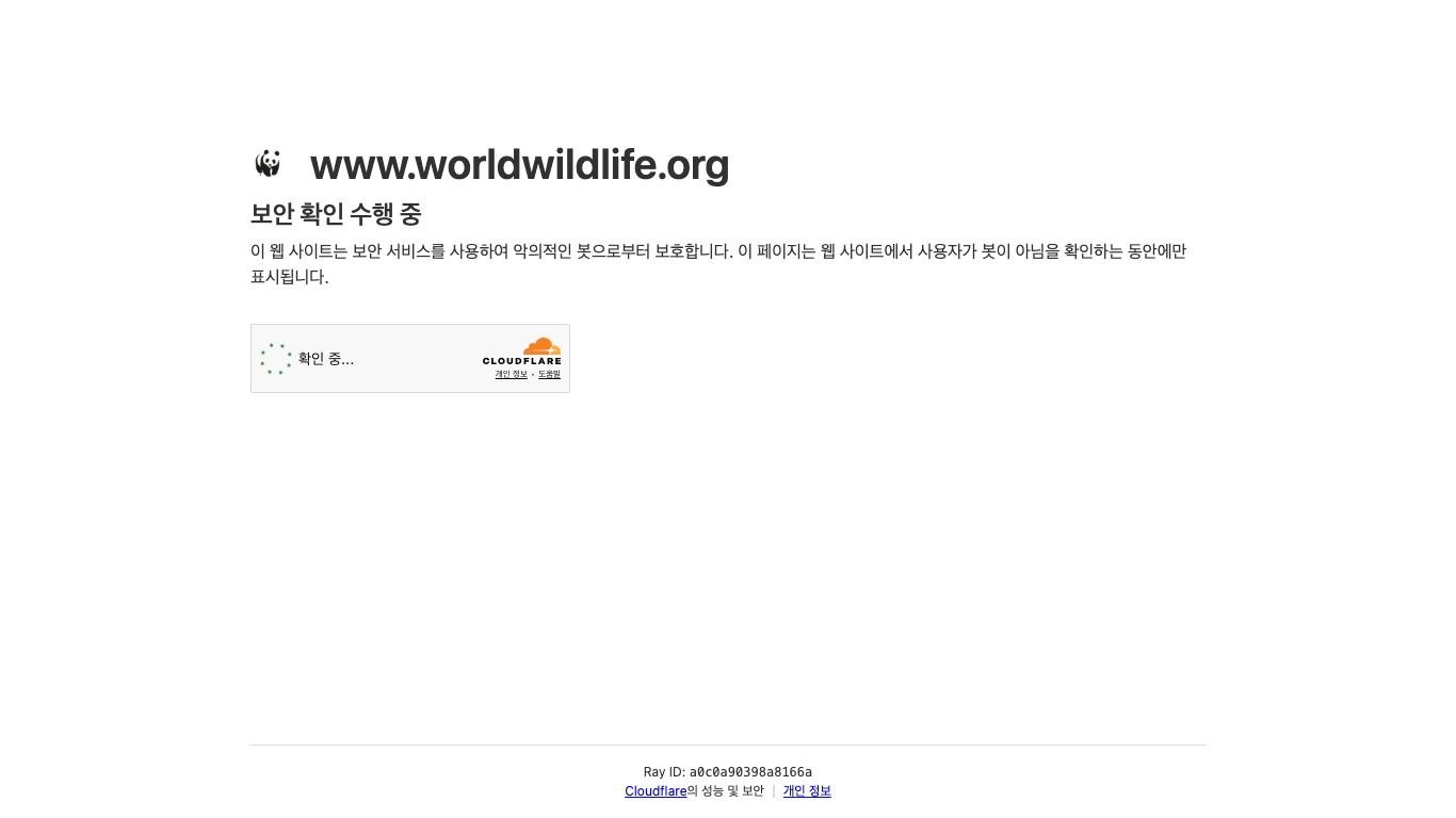 WWF 웹 레퍼런스 스크린샷